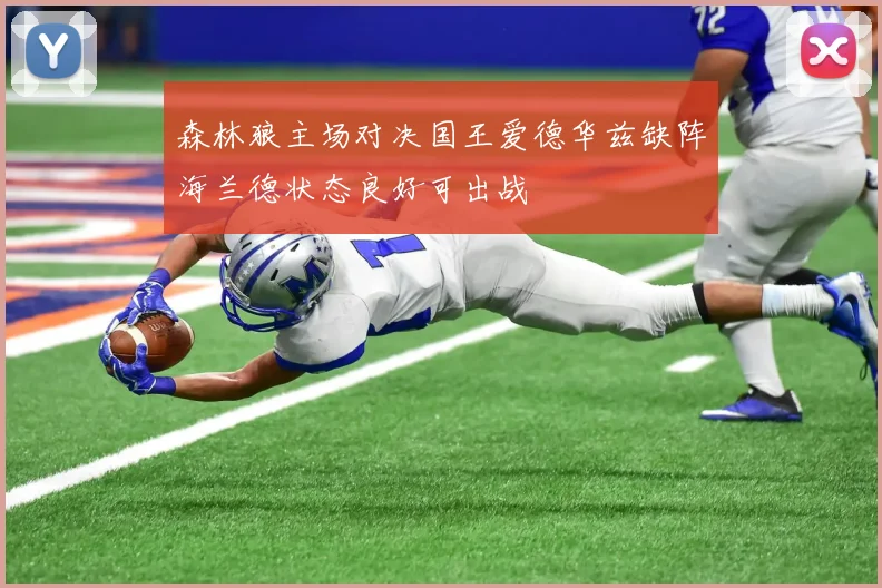 森林狼主场对决国王爱德华兹缺阵海兰德状态良好可出战