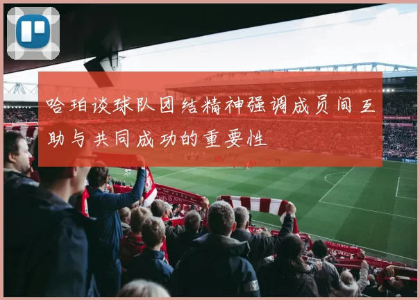哈珀谈球队团结精神强调成员间互助与共同成功的重要性