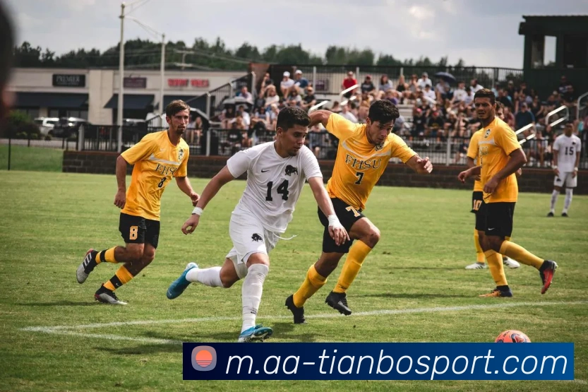 App Interface Preview