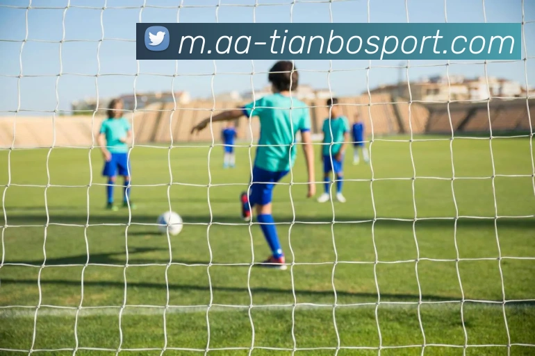 天博足球APP 封面图