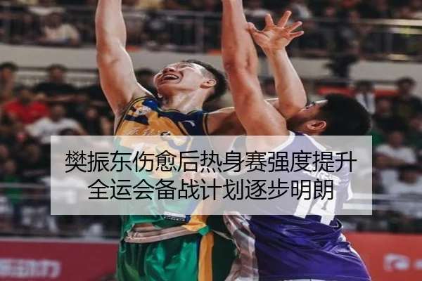 樊振东伤愈后热身赛强度提升 全运会备战计划逐步明朗（TIANBOSPORTS）